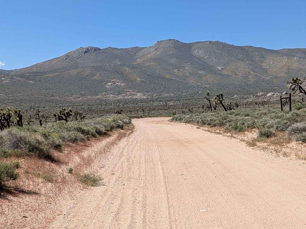 BLM SC106 photo 5