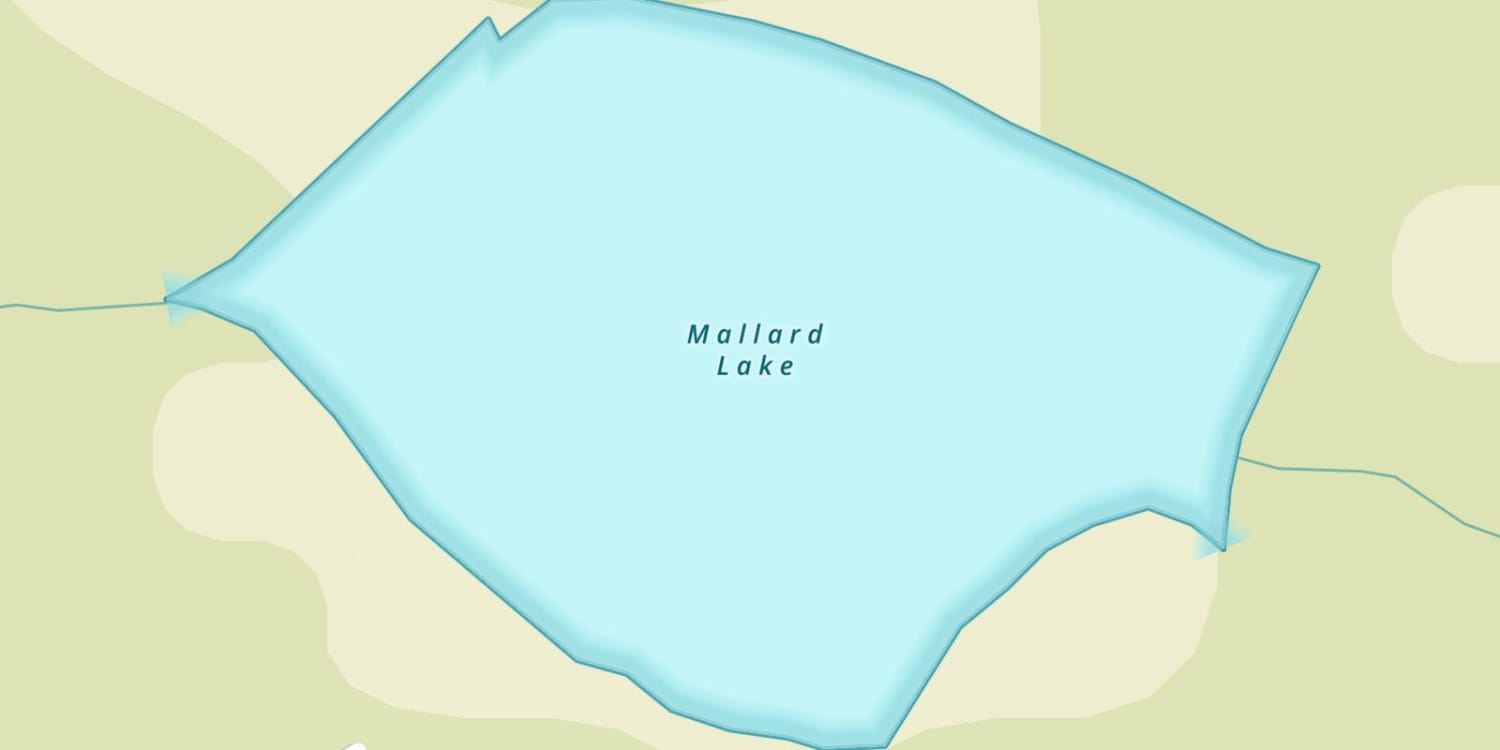 Mallard Lake