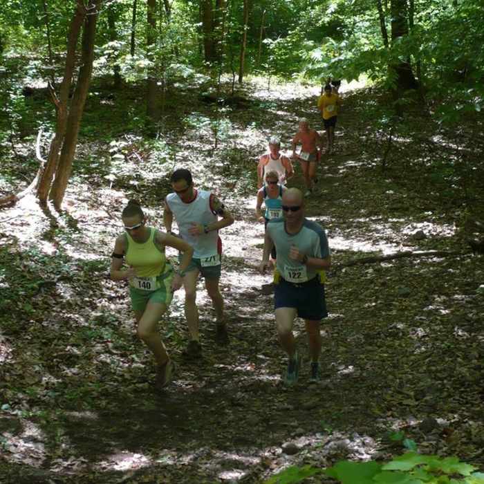 Climb above Birdsboro Reservoir Near White Blazed Trail