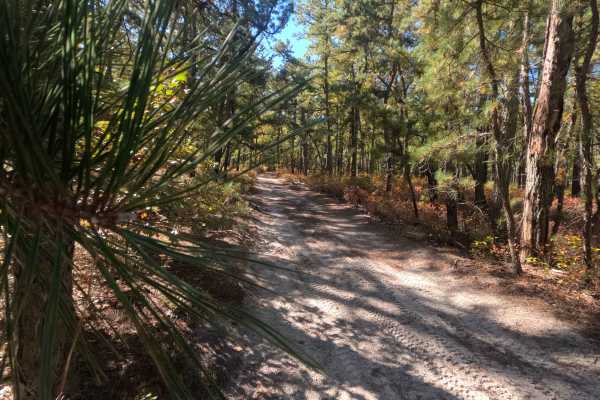 Washington Speedwell Road