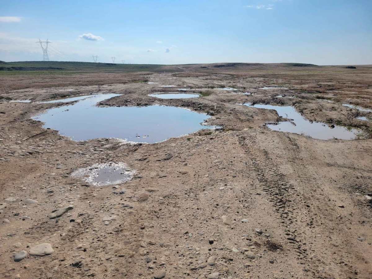 Prairie Dog Lane trail photo
