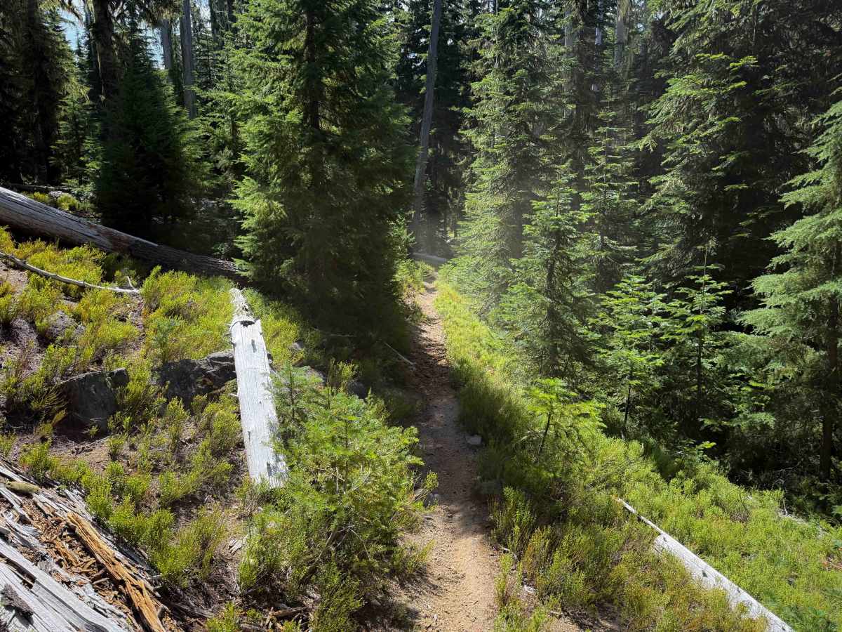 June Lake Trail  photo 5