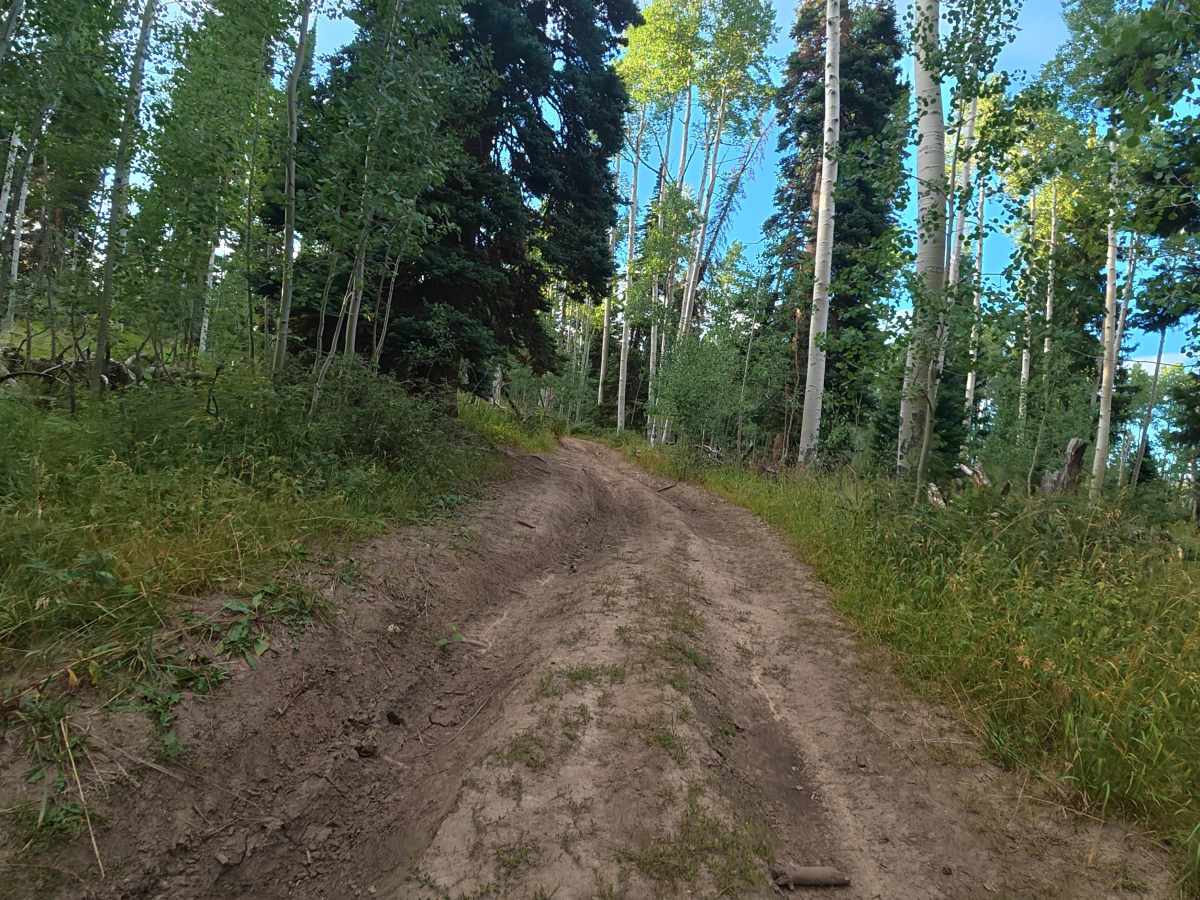 Elk Ridge Road - FS 248 photo 4