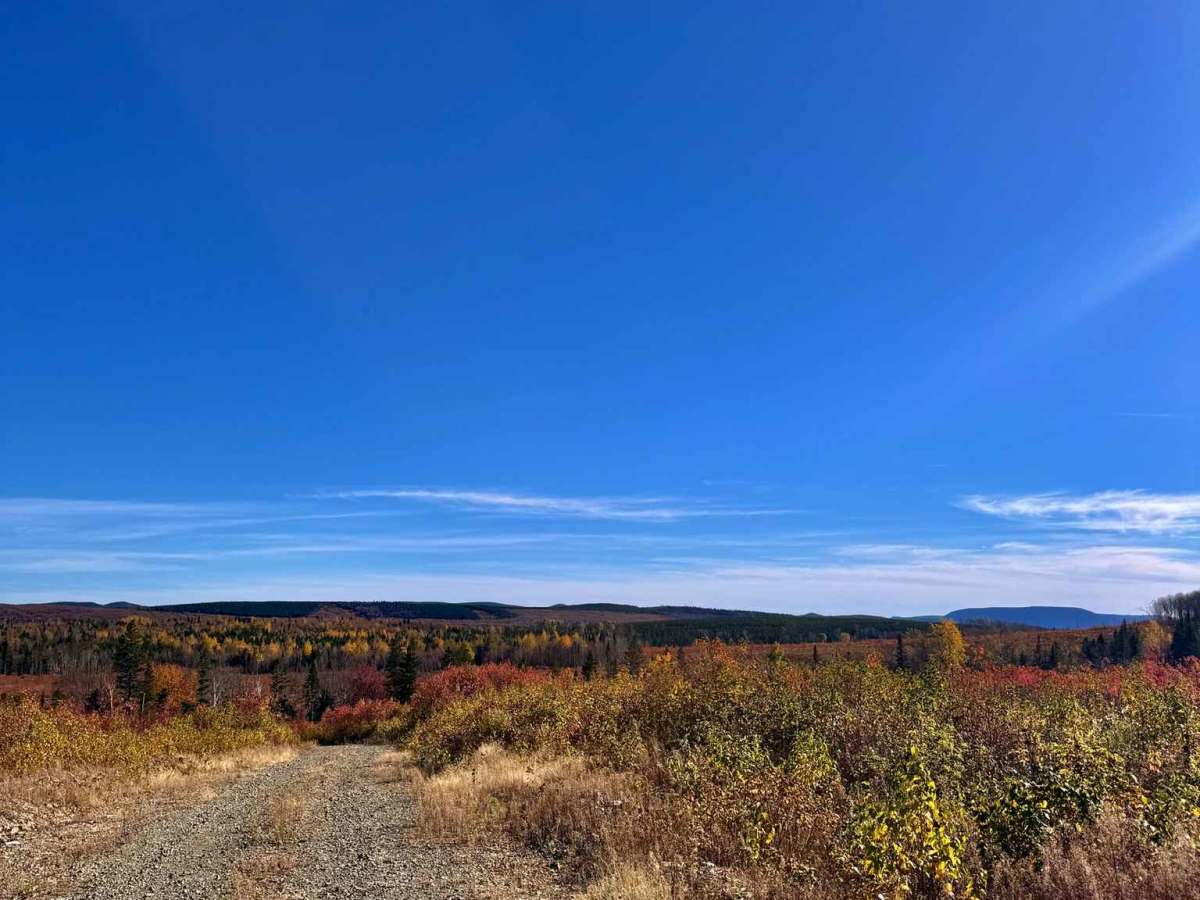 Upsalquitch Ridge Loop trail photo