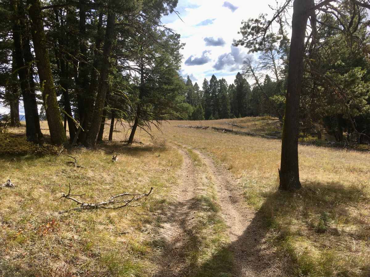 Kerlee Ridge ATV trail photo