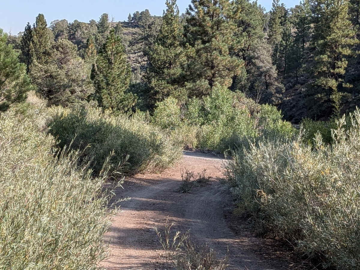 By Day Creek - FS 32076 trail photo