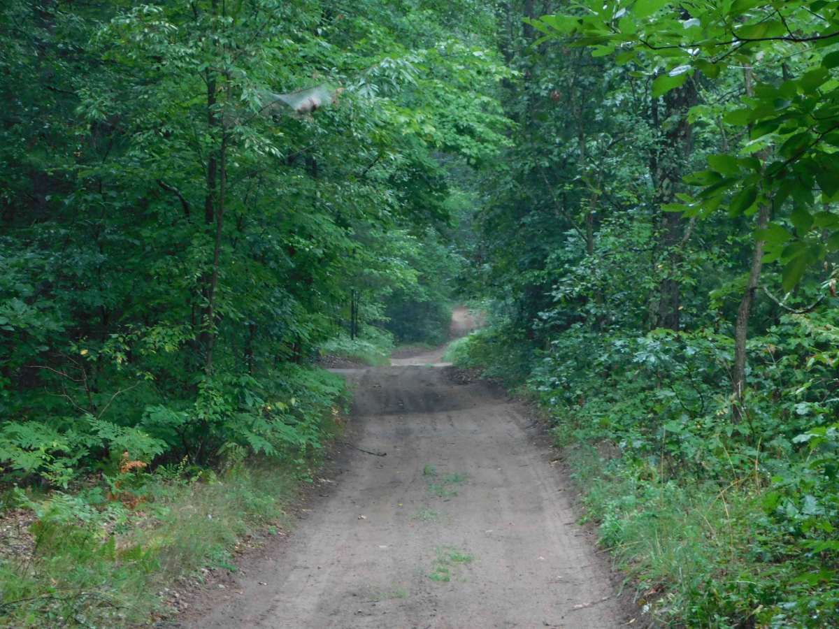 Webster Road photo 4