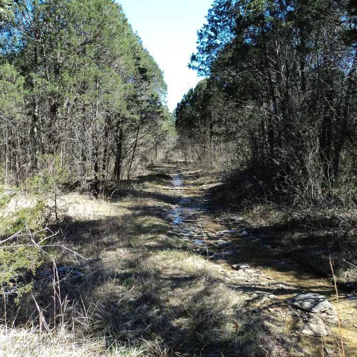 Near Flat Rock Cedar Glades and Barrens Trail