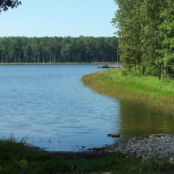 Near Pinewoods Lake Trail