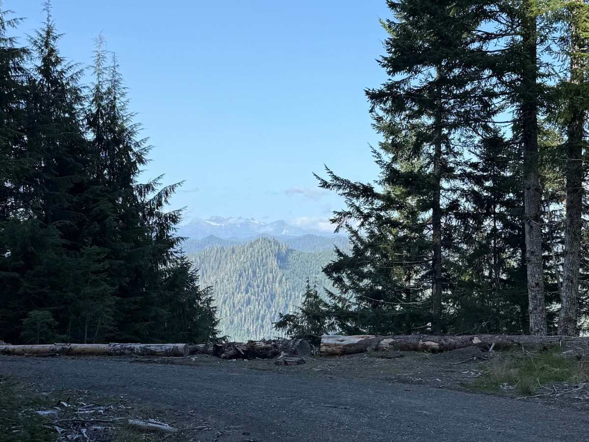 Prairie Creek–Higley Repeater Road - FS 2190 trail photo
