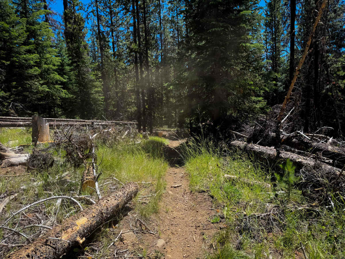 South Fork Manastash - FS 1386.1  photo 4