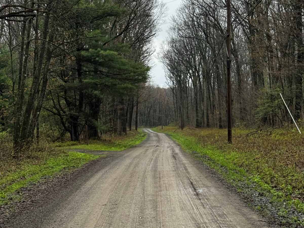 Schofield Road photo 6