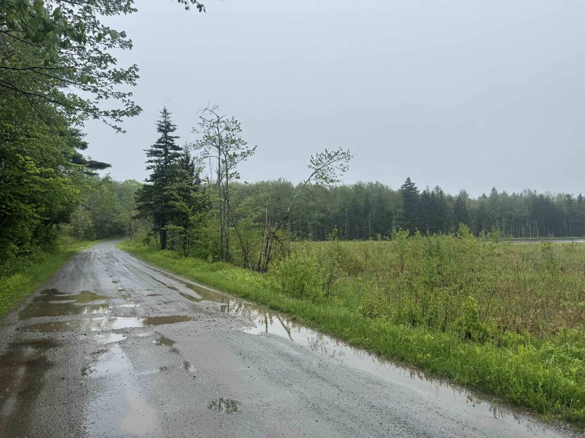 Country Road photo 5