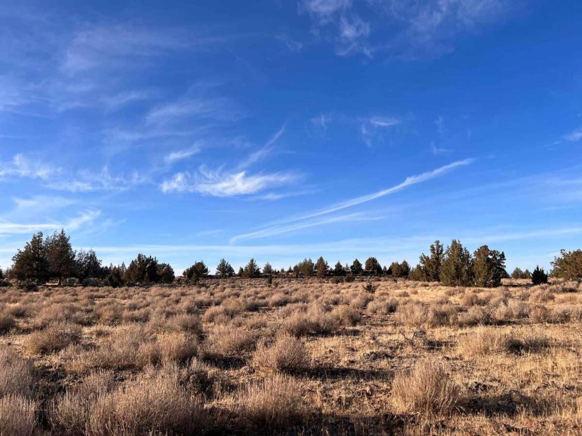 Island Reservoir Run trail photo