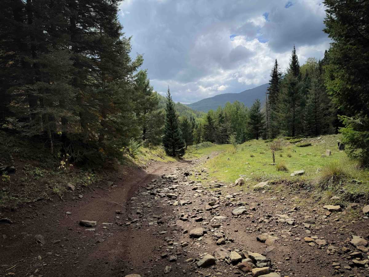Sardinas Canyon Trail - FS 12 photo 4