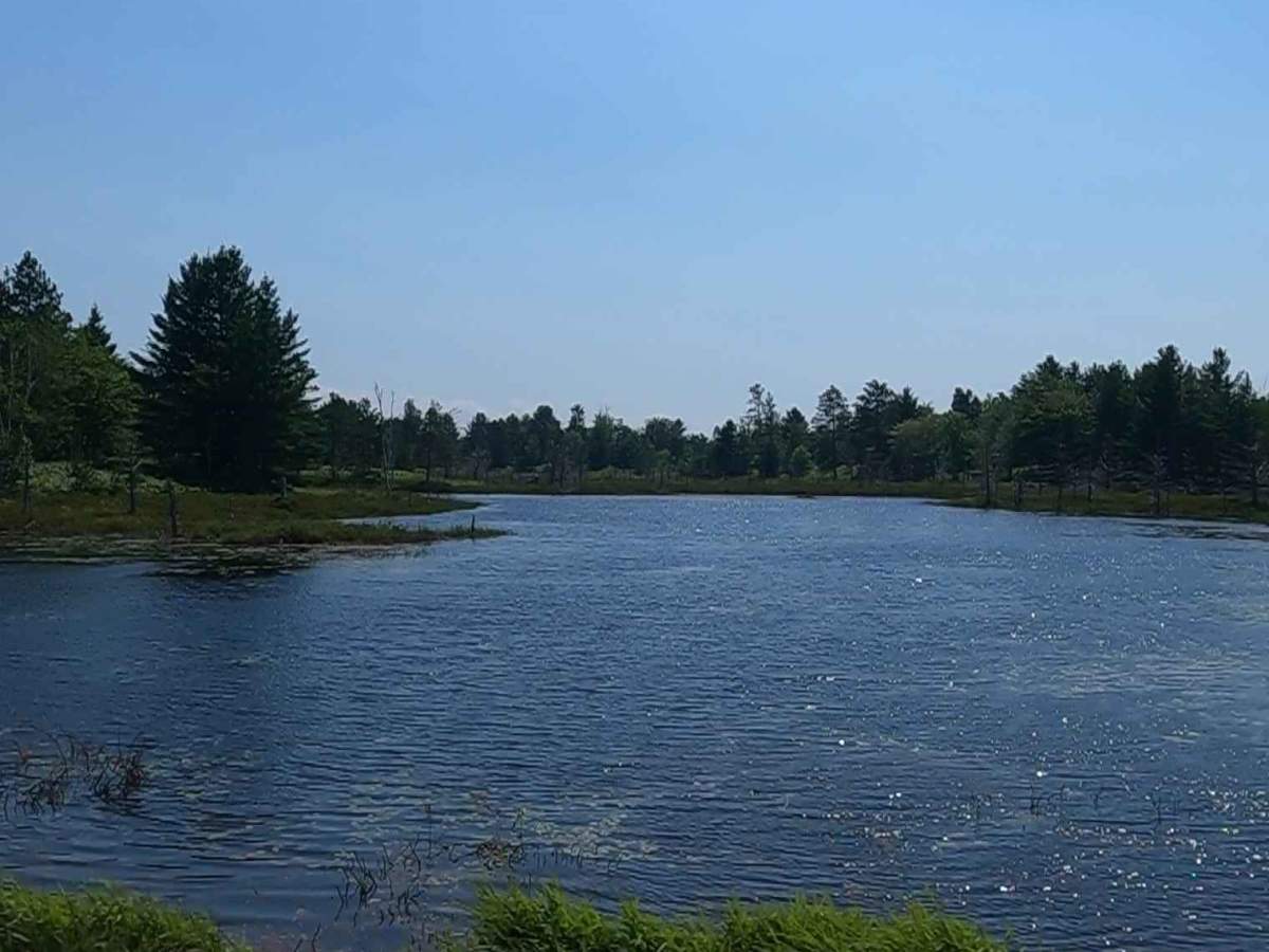 Cataract Road photo 3