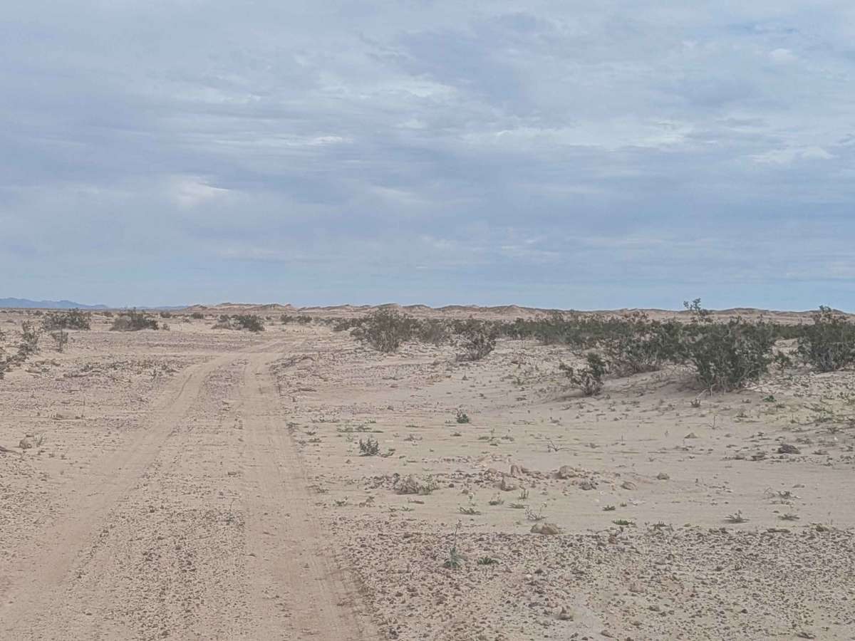BLM 176 photo 4