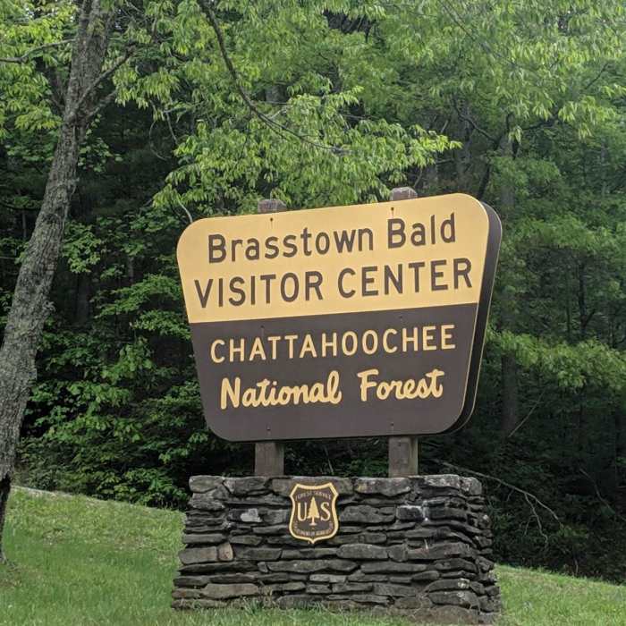 Near Brasstown Bald via Appalachian Trail