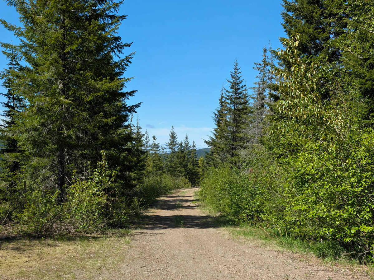 Mine Creek photo 5