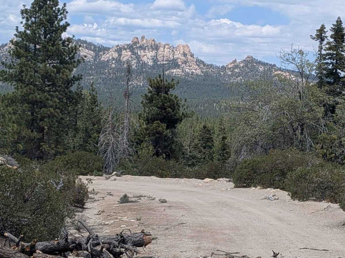 Bartolas - FS 24S14 trail photo