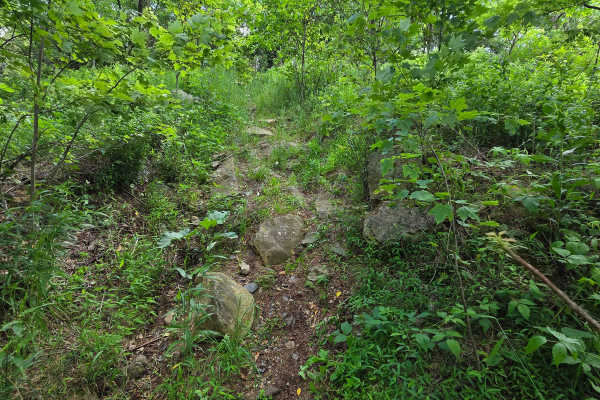 Single Track F