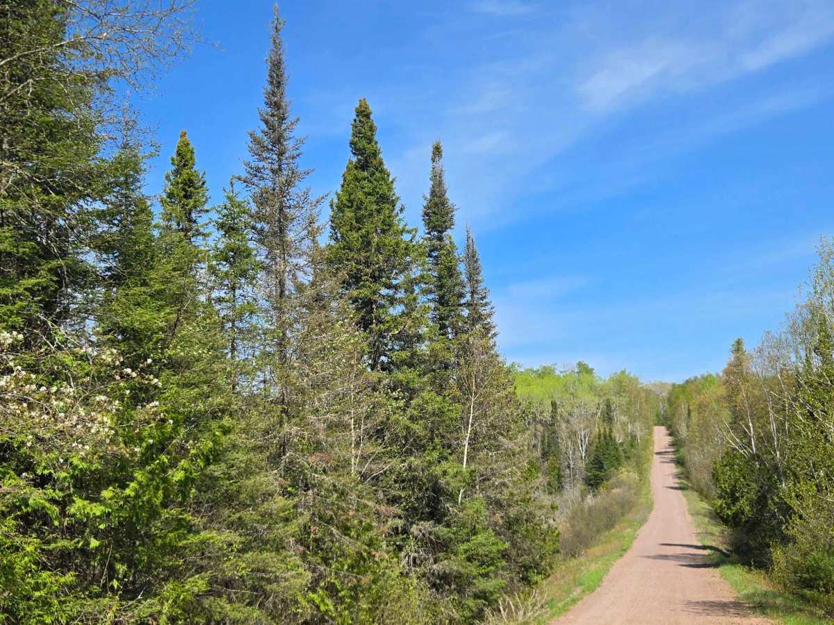 Whitefish Lake Trail photo 2