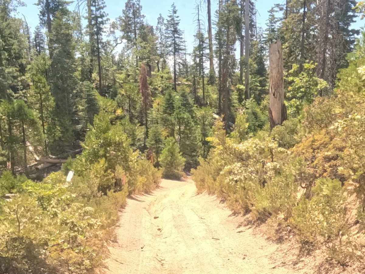 Ten Mile Spur - FS 5S062 photo 3