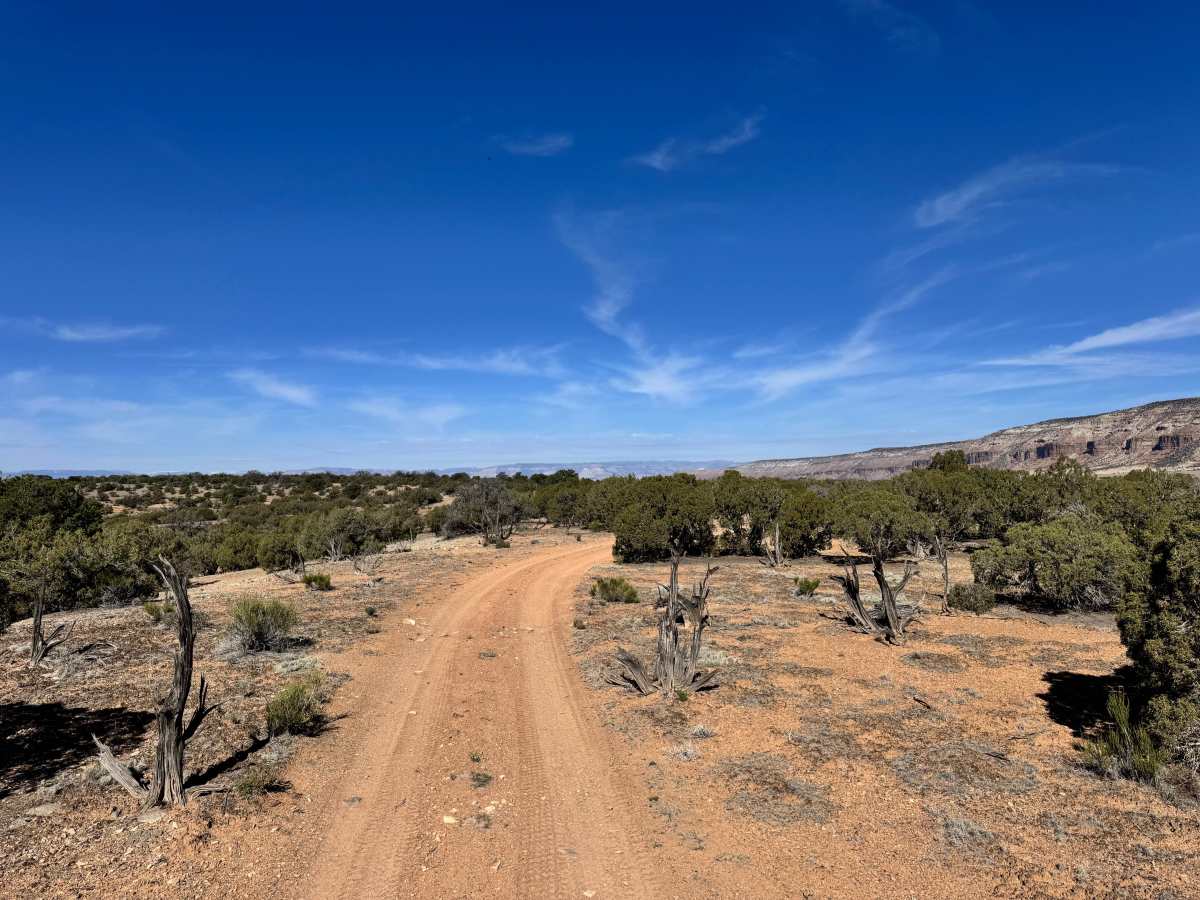 Cow Canyon photo 3