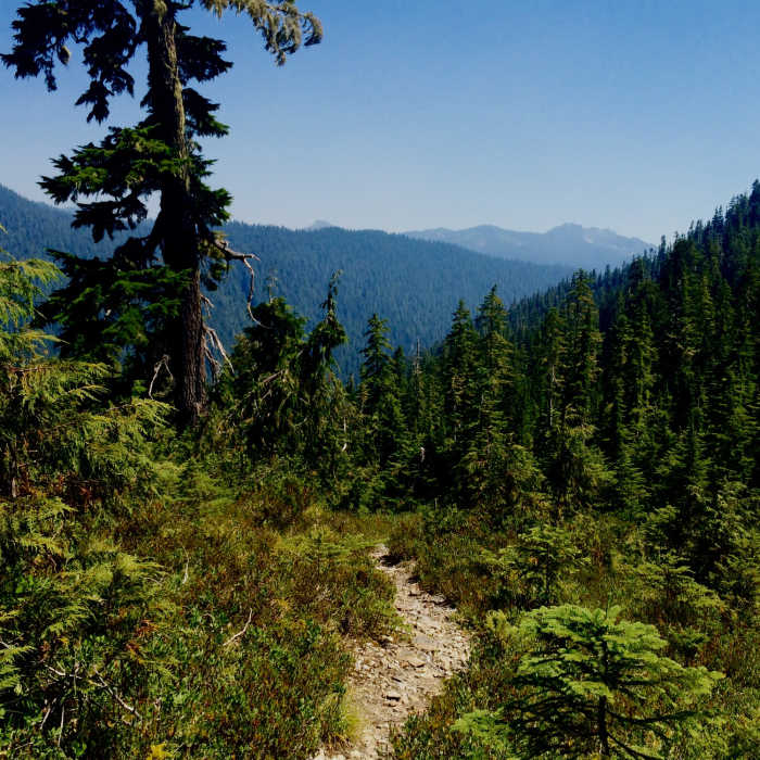 Near Elip Creek Trail