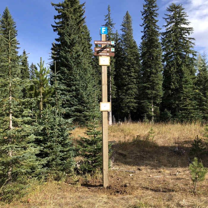 Near Hoot & Holler (Snow Trail)
