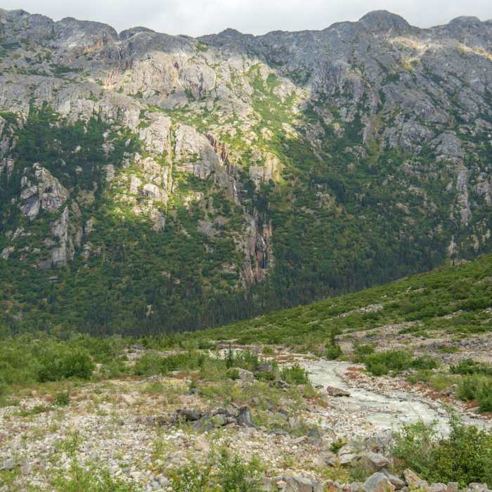 Headed back down the trail. Near Laughton Glacier Trail