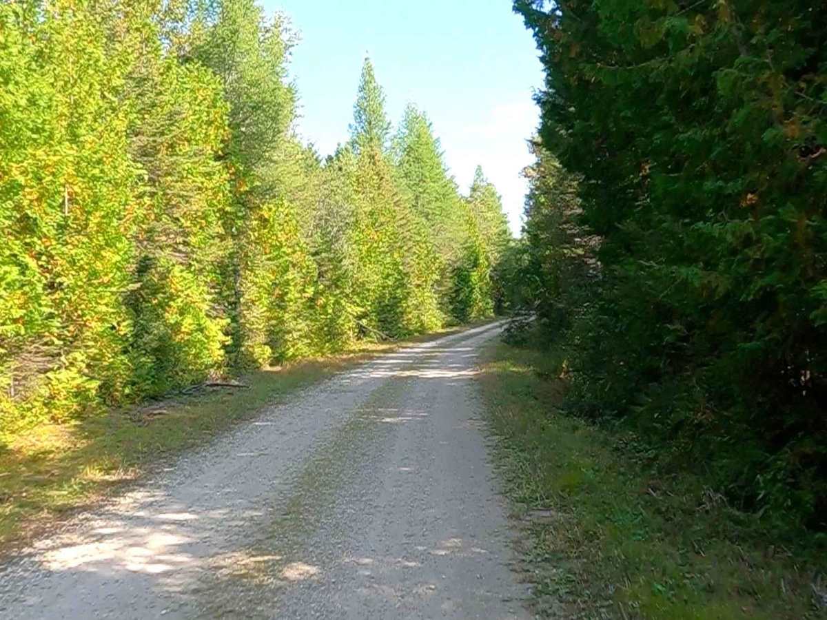 Cole (ORV Route A) - FS 3808 photo 5
