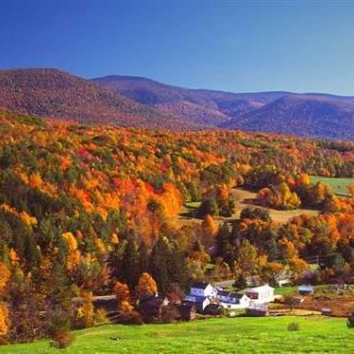 Near Mount Greylock via Cheshire Harbor Trail Near Mount Greylock via Cheshire Harbor Trail