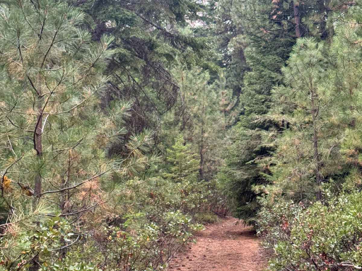 FS 1140-500 photo 6
