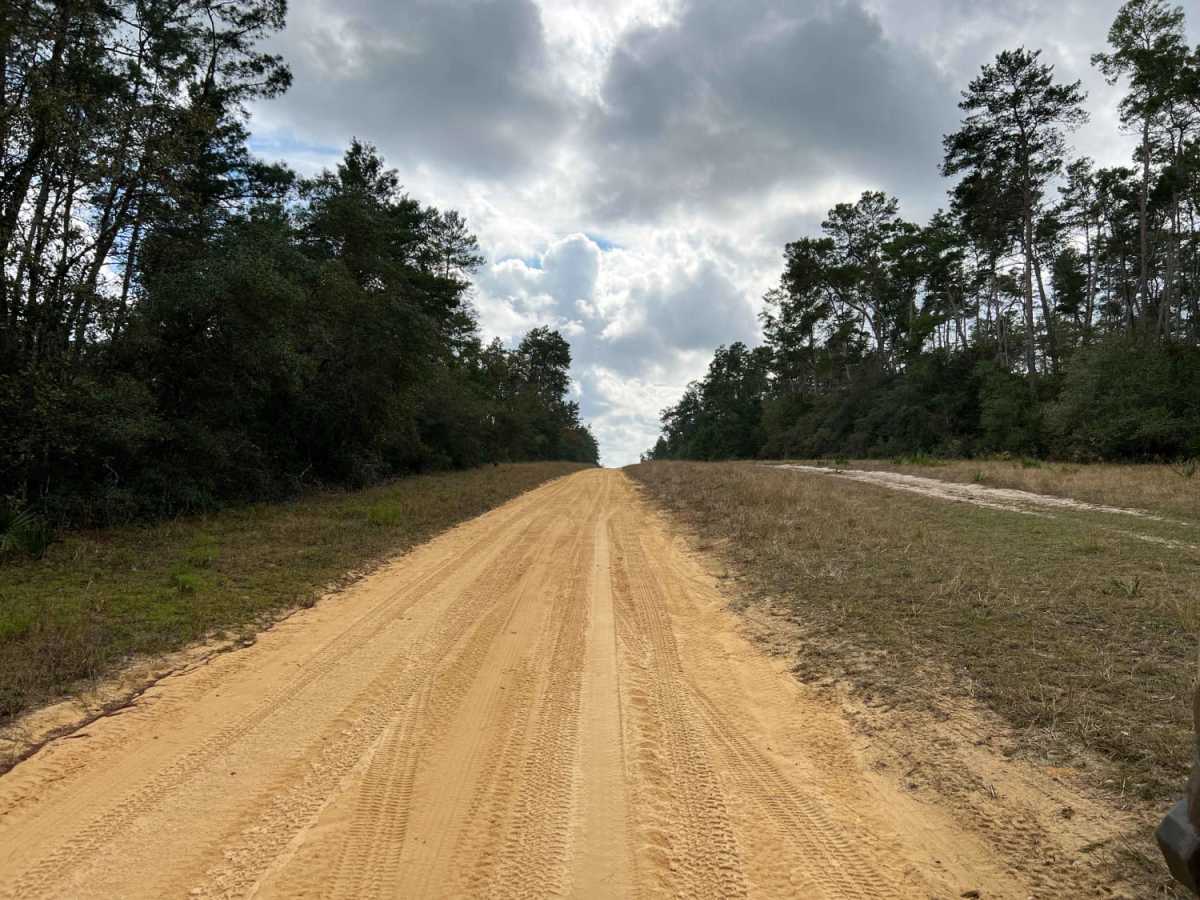 Sandy Pipeline Run trail photo
