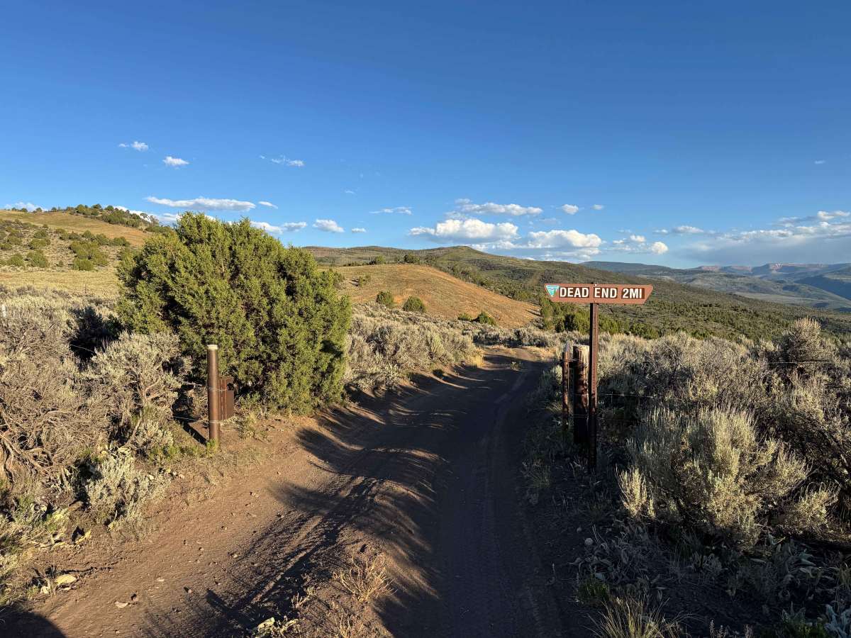 BLM 8410 photo 3