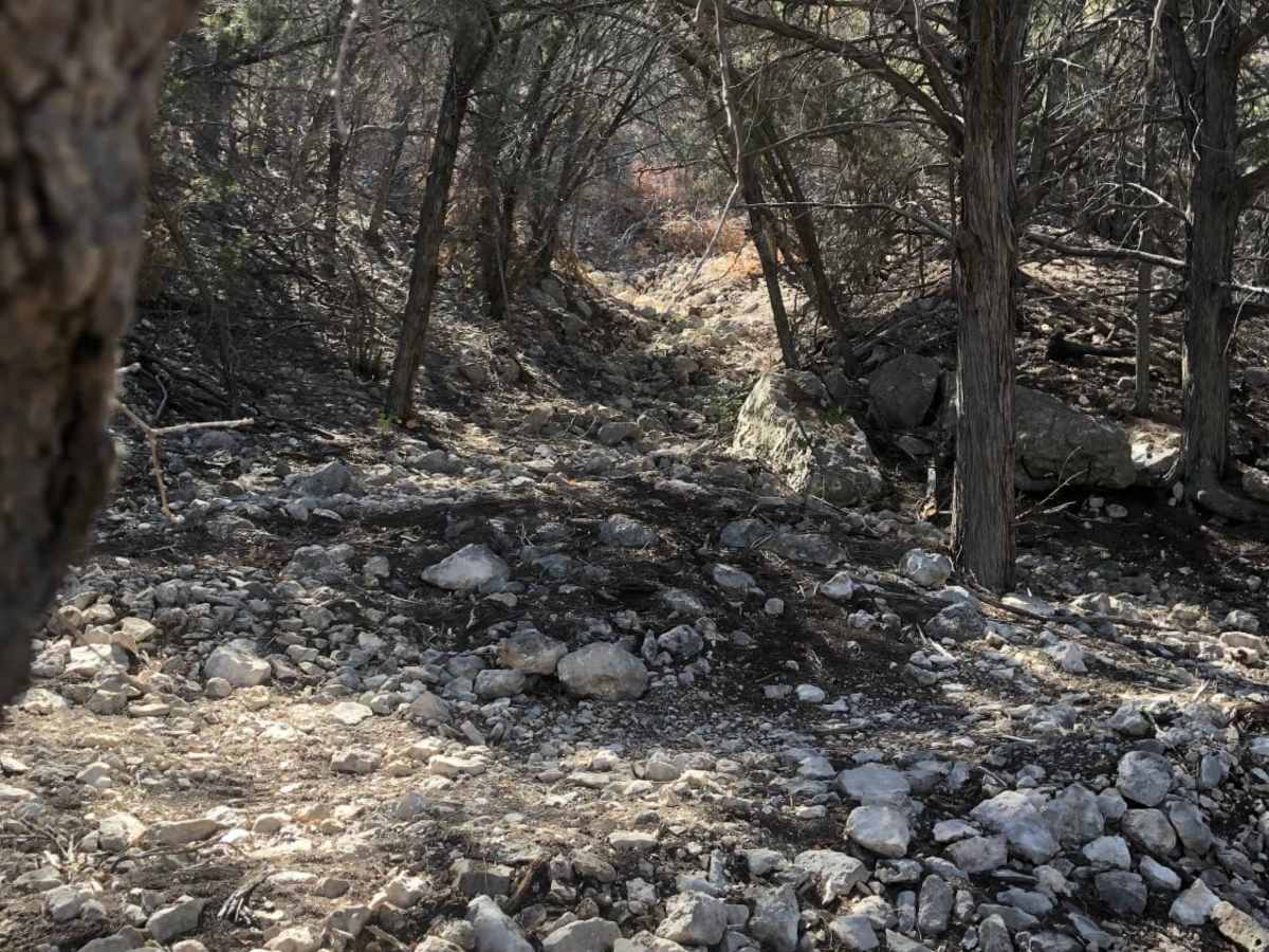 Willhemakeit trail photo