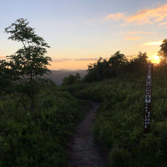 Art Loeb Spur to Black Balsam Near Art Loeb Trail