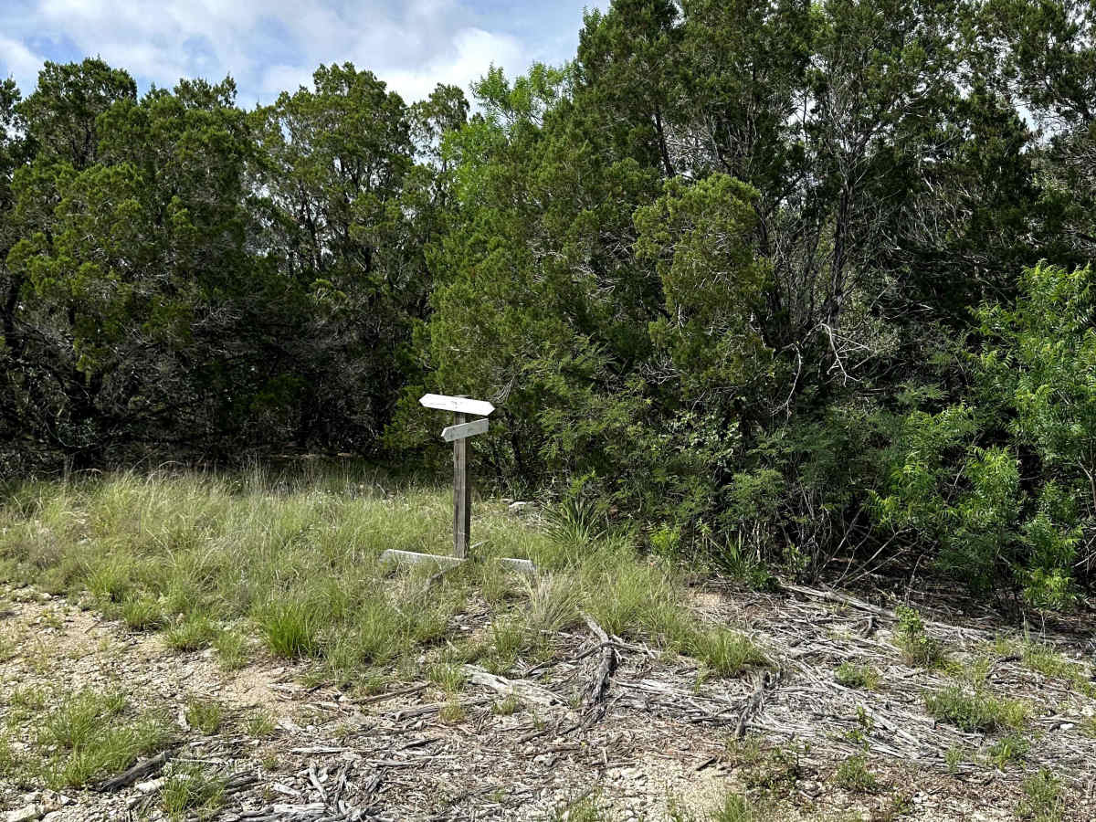 Aoudad Xing photo 2