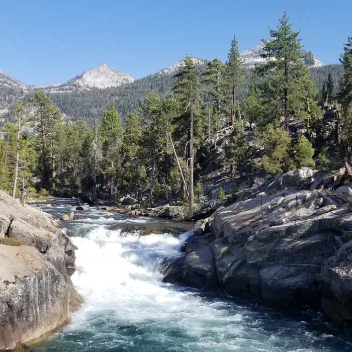 Creek view. Near Florence Lake Trail