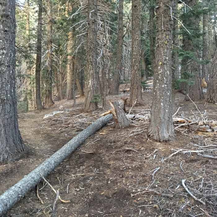 Near Snow Mountain Summits