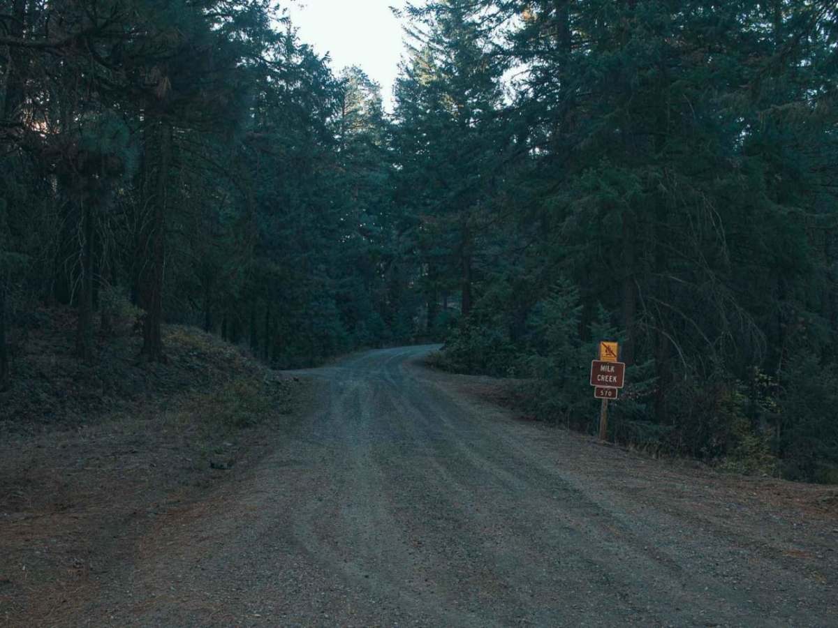 Milk Creek photo 2