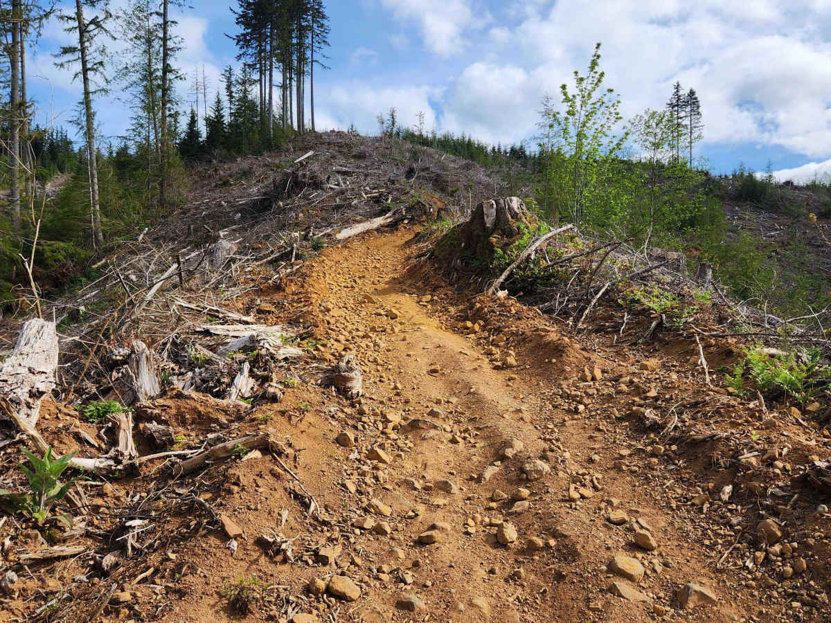 Rock Candy Trail photo 5