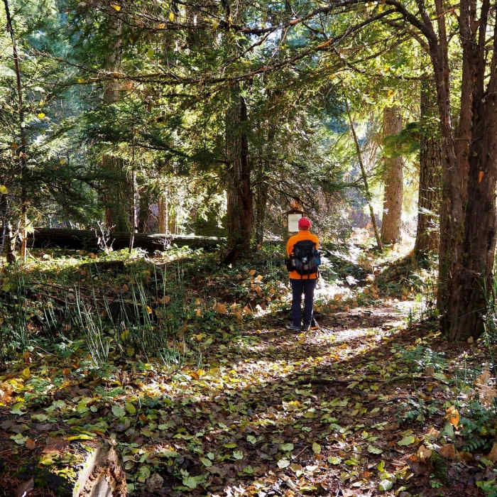 Near Union Creek Trail #1035