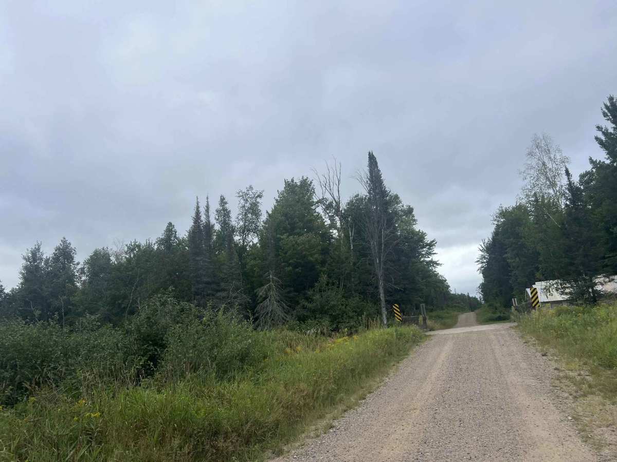 FS 2387 trail photo