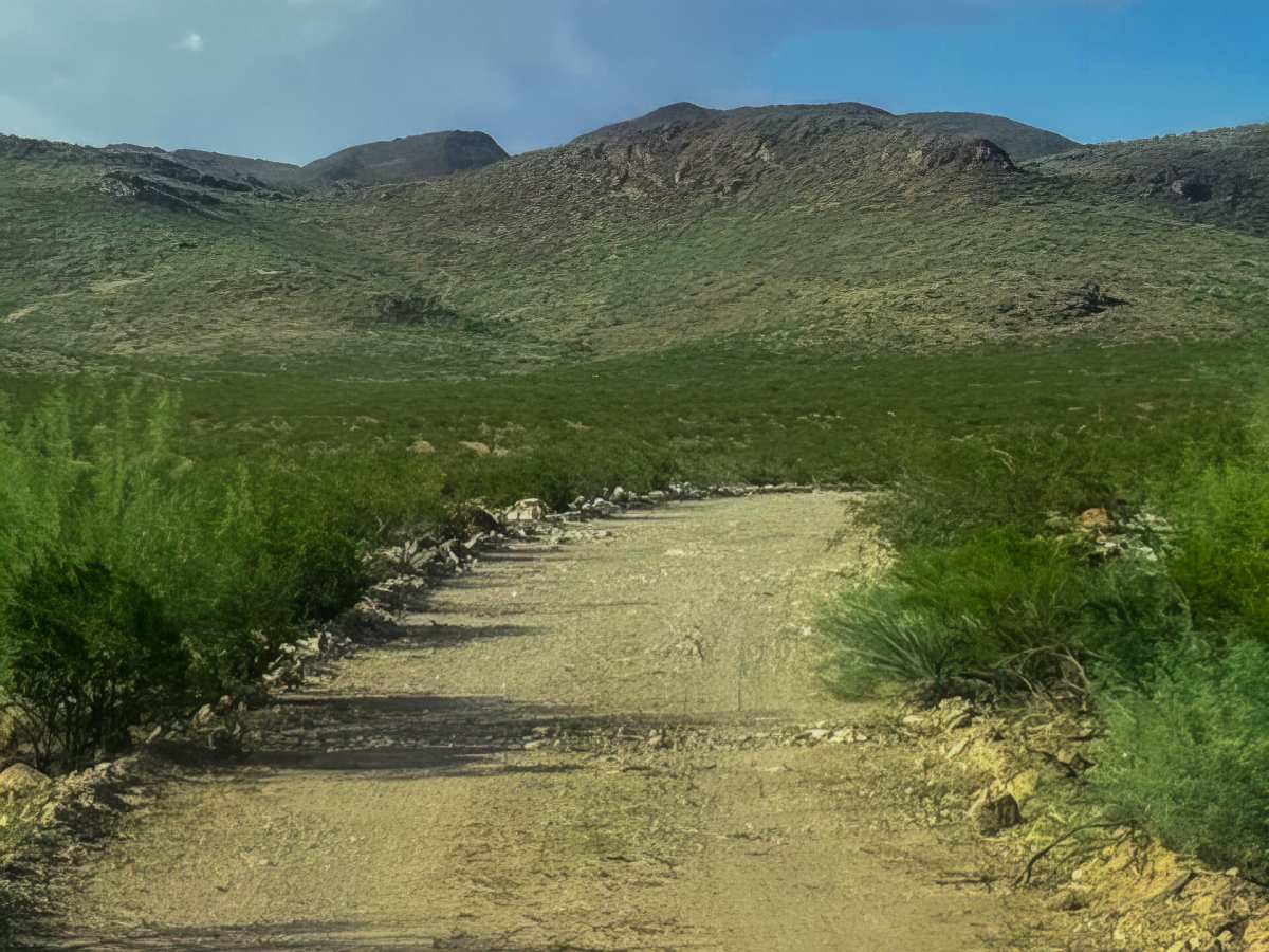 Ss1126 trail photo
