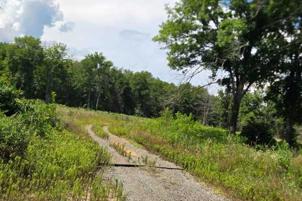 Line Ridge Fork