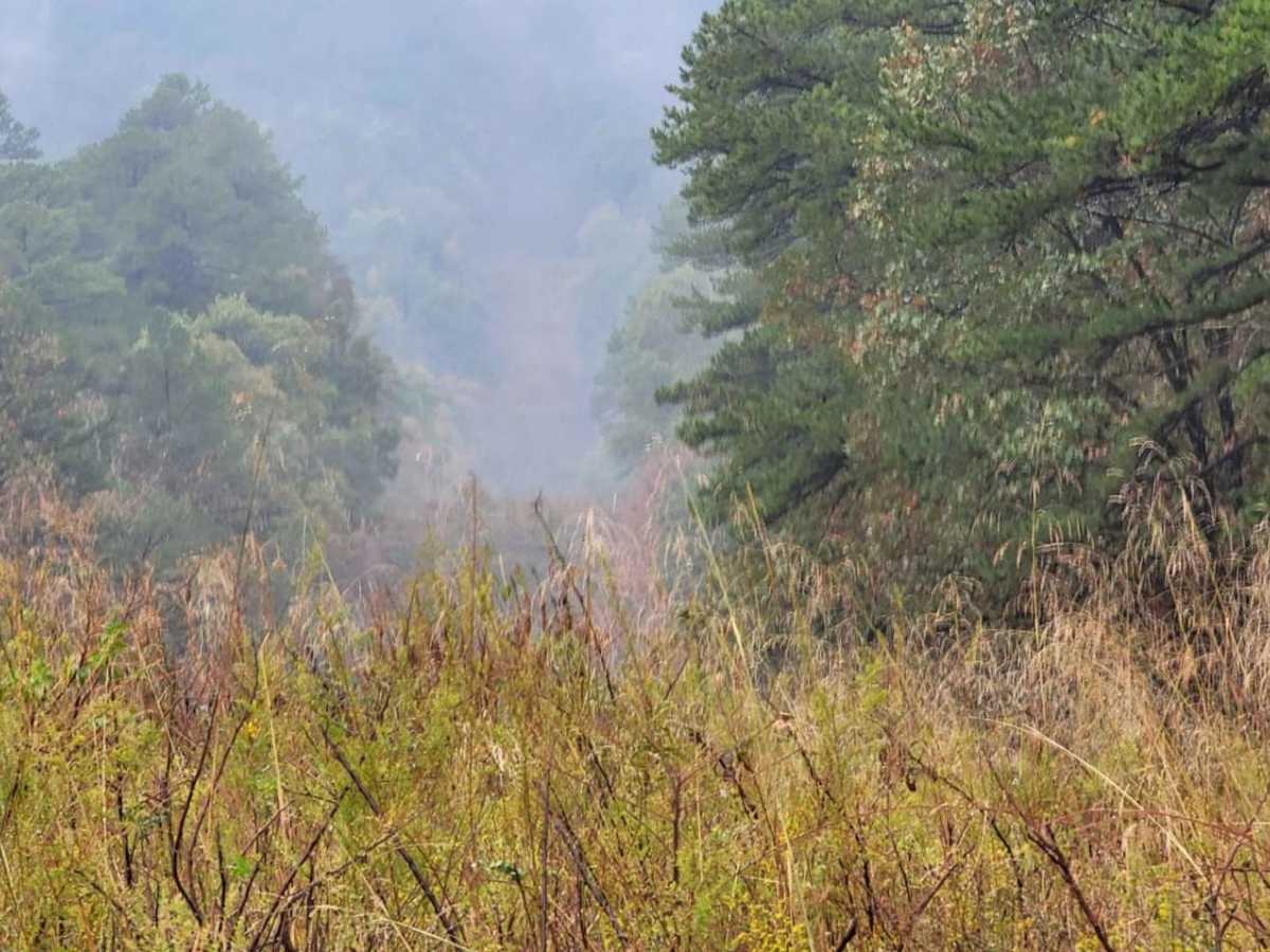 Talley Mountain trail photo