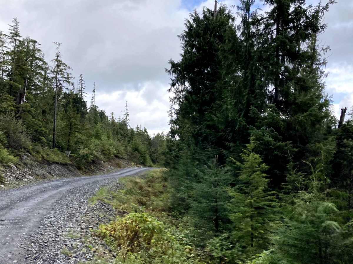 Shelter Cove Road (section 1) photo 3