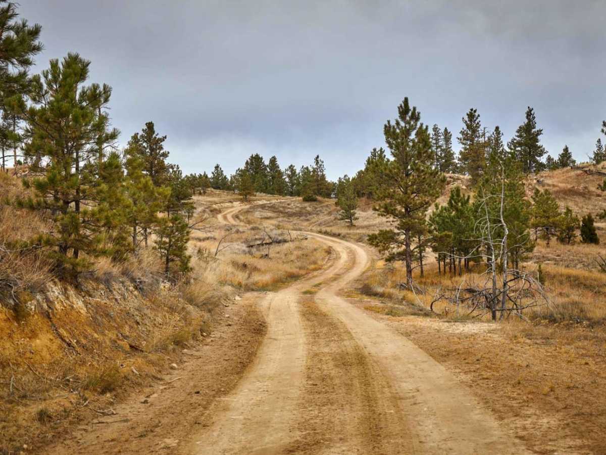 Reanus Cone Trail Part 2 photo 2